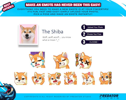 Custom Twitch Emotes: Unleash Your Stream's Uniqueness